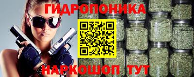 дурь Гусев