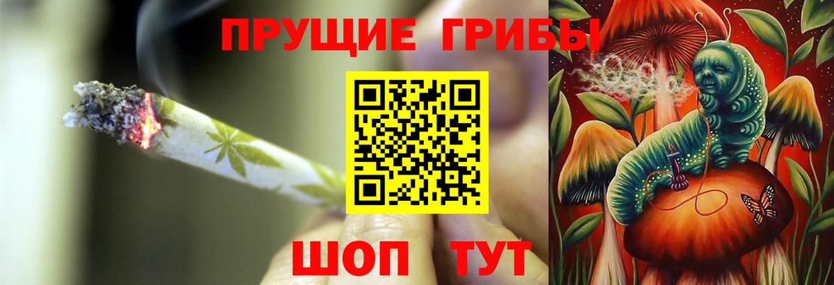 Псилоцибиновые грибы Cubensis Минусинск