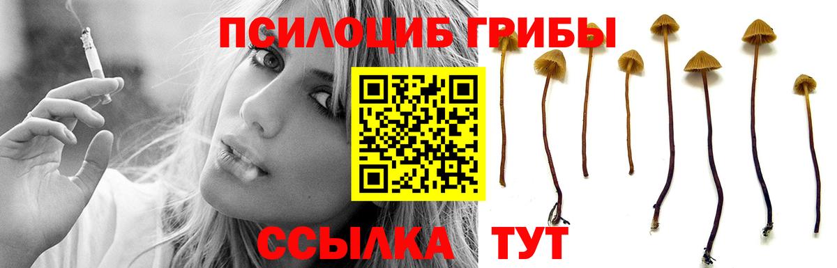 Псилоцибиновые грибы Cubensis  Вход с VPN  Минусинск 